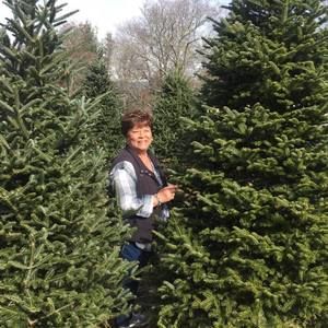 Meet your Posher, Joyce